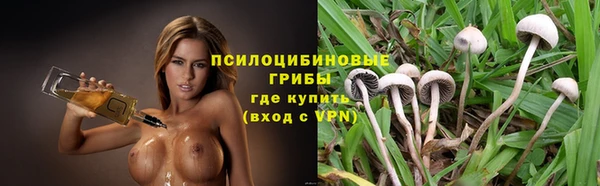 дмт Аркадак