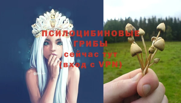 герыч Арсеньев