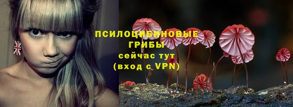 дмт Аркадак