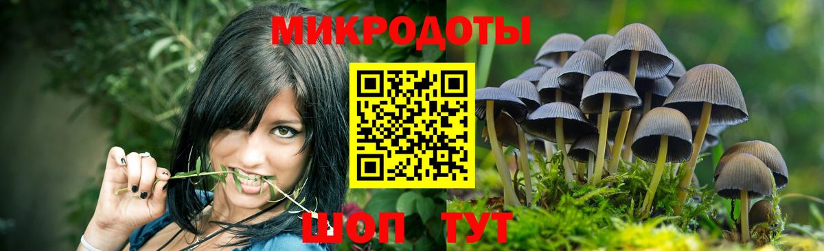 как найти наркотики  Вход с VPN  Белово  Псилоцибиновые грибы Cubensis  Галлюциногенные грибы мухоморы 