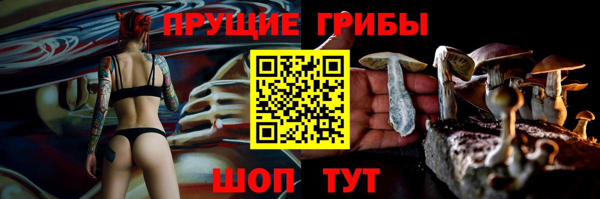 Галлюциногенные грибы Psilocybine cubensis Белово