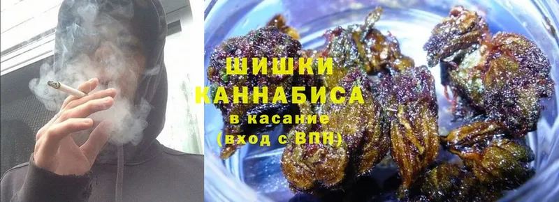 Каннабис Bruce Banner  Белово 